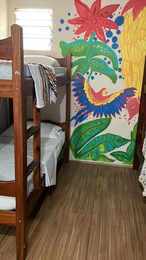 Bunk Bed in Mixed Dormitory Room,1556216305:JPEG
